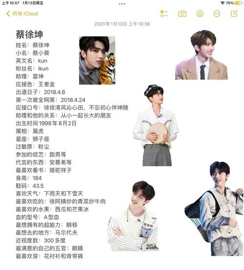 姓名契合度配对明星(姓名契合度配对查询免费测试)