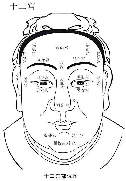 眉形算命 鬼眉是什么眉形