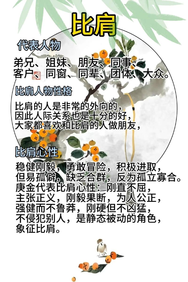 八字算命里的比肩(八字比肩意思)