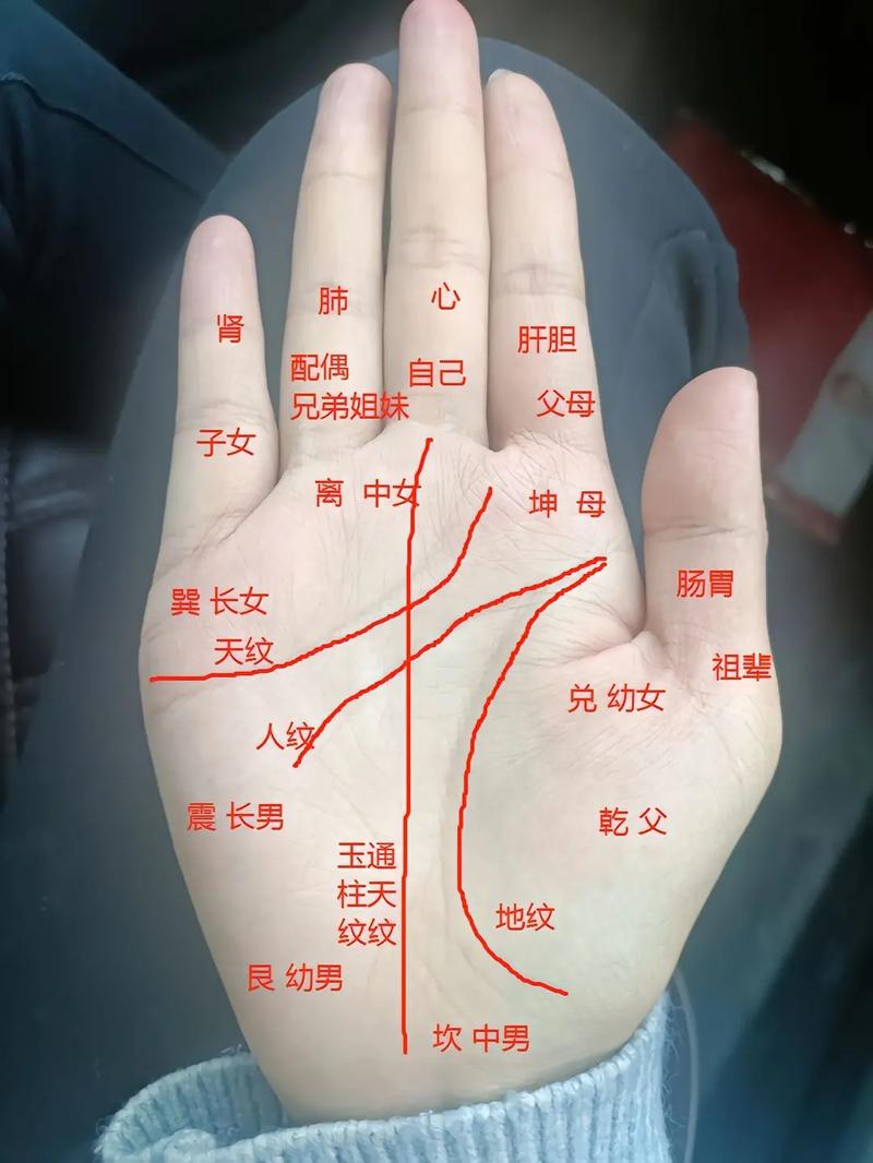 女人手相算命图解 十种富贵手