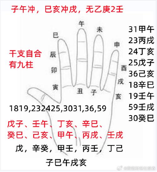 算命婚姻术语大全图解 算命术语的圆代表什么