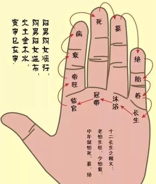 摸手指算命运 摸各个手指的心理
