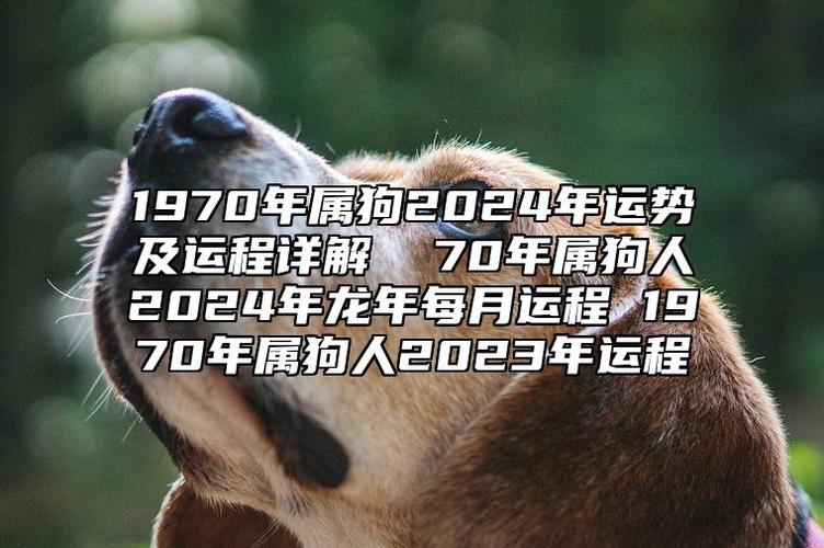 70年属狗天蝎座明日运势 70年狗2025天蝎女全年运势