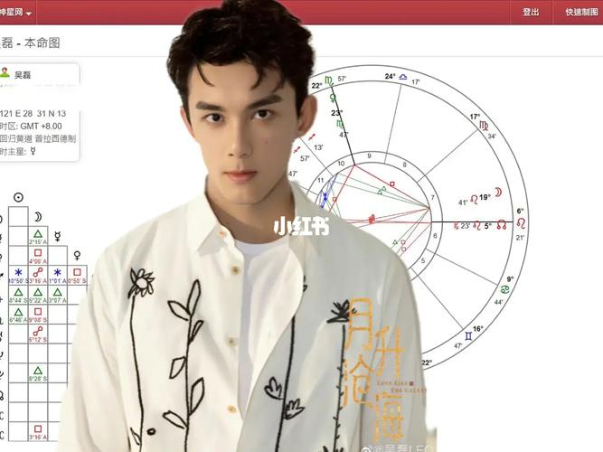 吴磊八字星盘紫微命盘 吴磊赵今麦命盘