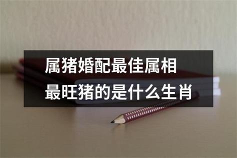 属猪八字婚姻 95属猪女最佳婚姻