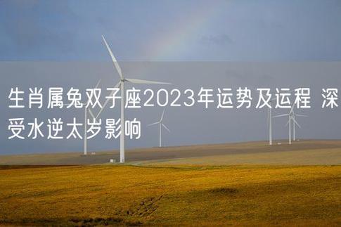 属兔双子座今年运势 属兔2024双子全年运势