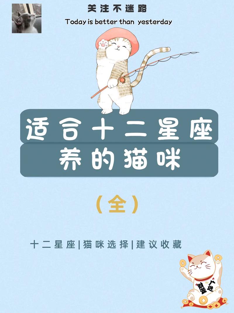 摩羯座猫猫性格特点女性 摩羯座的专属小宠物