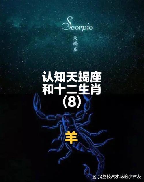 肖羊天蝎座2021年运势 属羊天蝎座2022年下半年