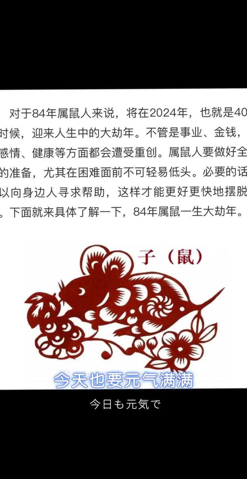 属鼠八字算命免费 鼠算命
