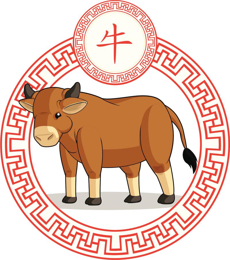属牛的天蝎座女生财运 属牛天蝎座男戴什么手串