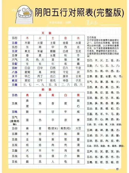 如何看五行算命 算命算五行