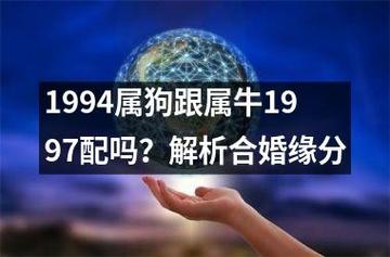 算命说属牛男配属狗女婚姻 70年属狗男和73属牛女合适吗
