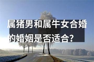 猪男与牛女结婚吉日有哪些 2025年牛女出行吉日