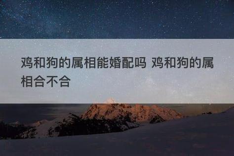 鸡和狗2025年结婚吉日 2025鸡与虎结婚吉日