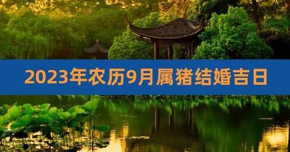属猪人开业黄道吉日 属猪的和属虎的结婚黄道吉日