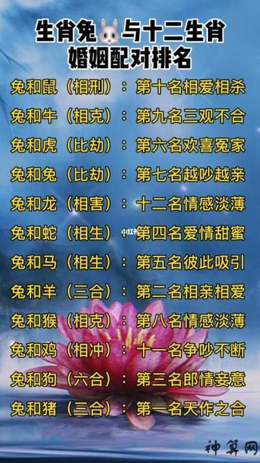 1999年属兔男婚姻算命 1999年属兔男婚姻怎么样