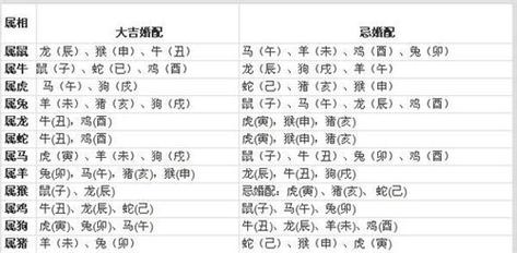 属相与八字合婚好吗 属蛇的跟哪个属相合婚