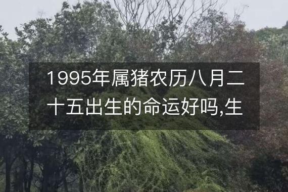 豬命八字 八字天机命谱