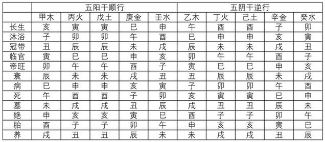 曲炜八字天干地支打分 曲炜个人简历