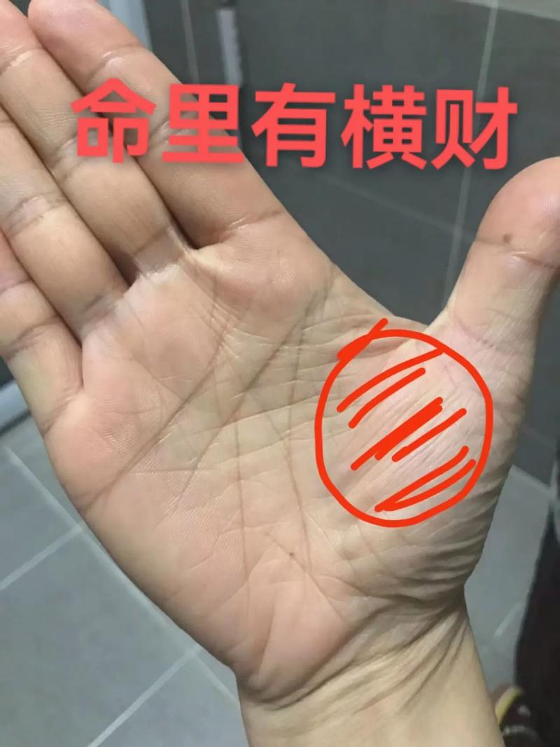 算命财运手相 财运特别旺的手相