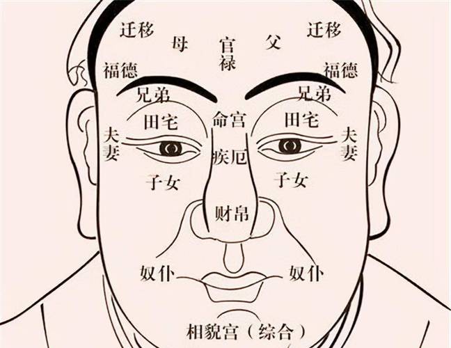 了解面相与八字命运的区别 能享夫福的女人面相和八字