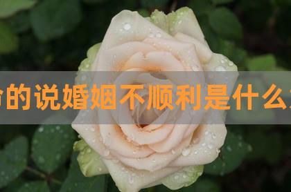 算命的说没有婚姻 没有婚姻命的人