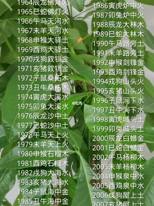 属虎生辰八字缺什么五行 10年的虎属于五行里的什么