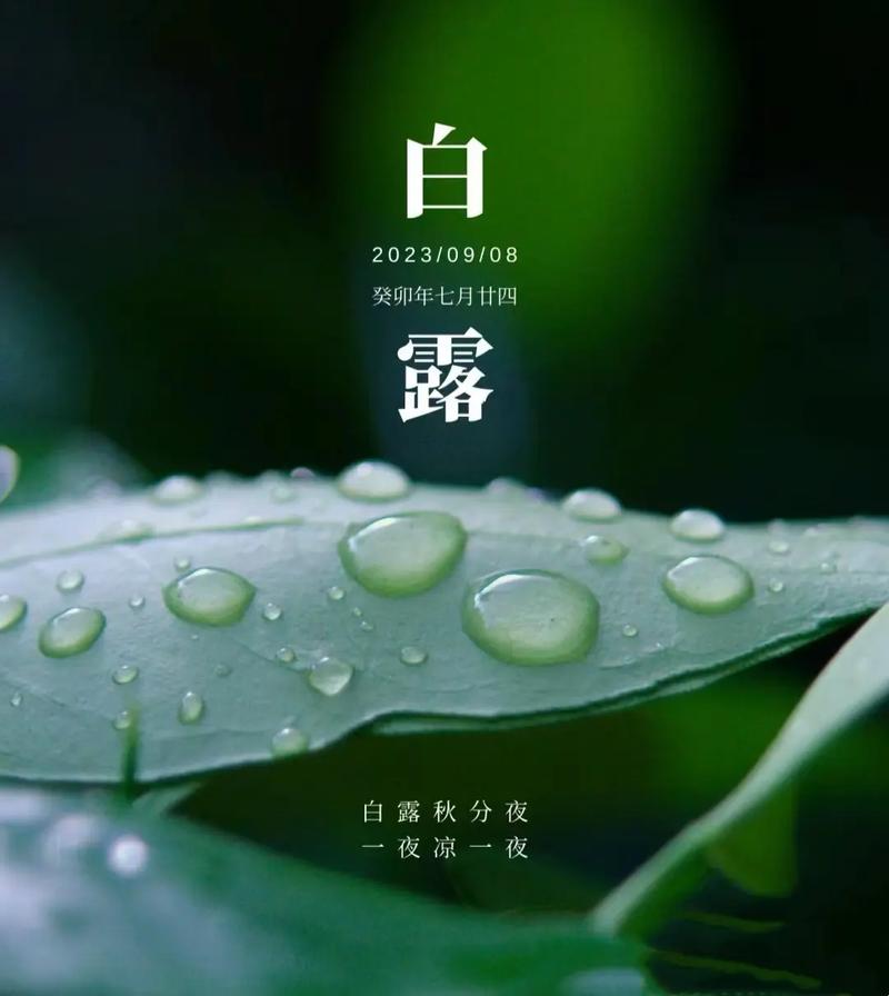 2025年白露是个吉日吗 2025年白露时辰