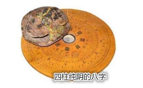 四柱纯阴八字 八字纯阴的富豪名人