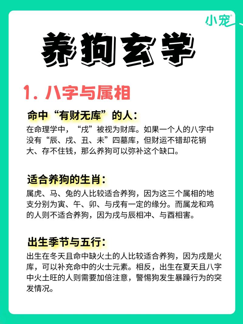 养狗狗需要看黄道吉日吗 买狗要选吉日吗